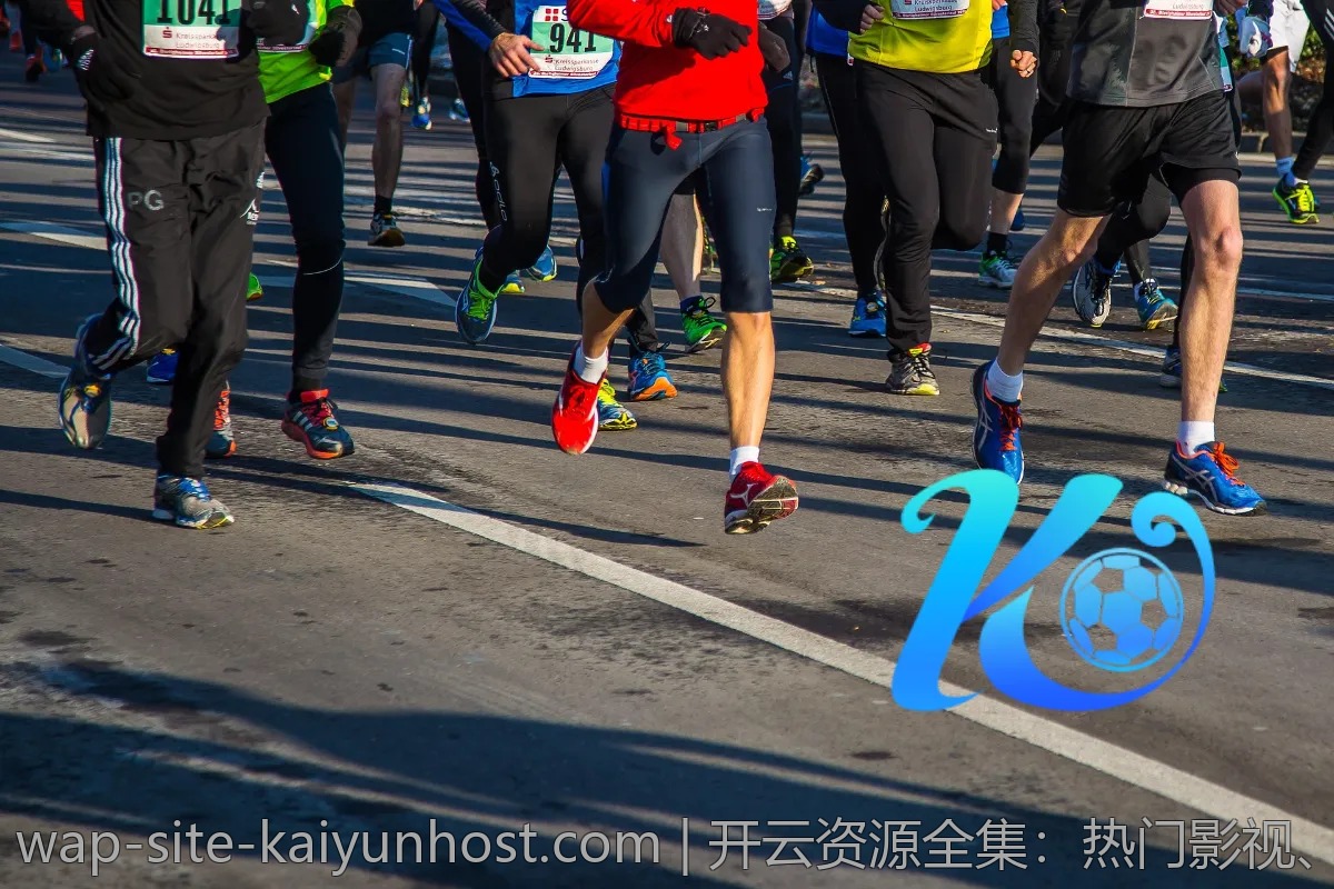 开云资源全集：热门影视、音乐随你下载