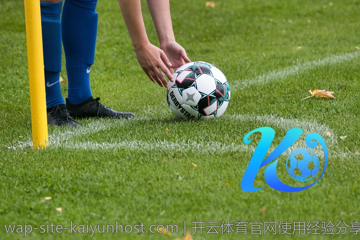 开云体育官网使用经验分享，助你早日成为高手